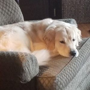 Meet your Posher, Tania